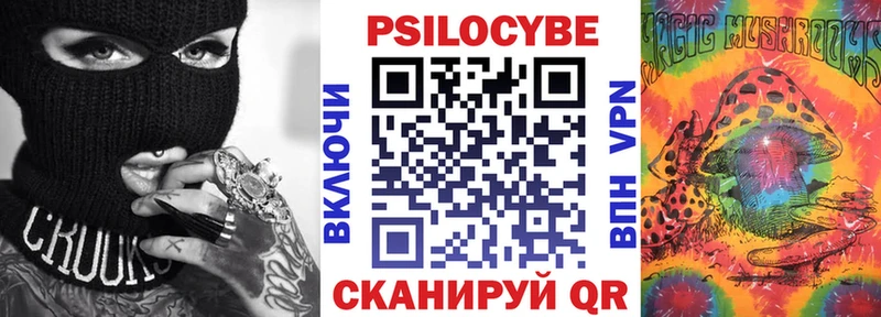 где купить наркоту  Малаховка  Галлюциногенные грибы MAGIC MUSHROOMS 